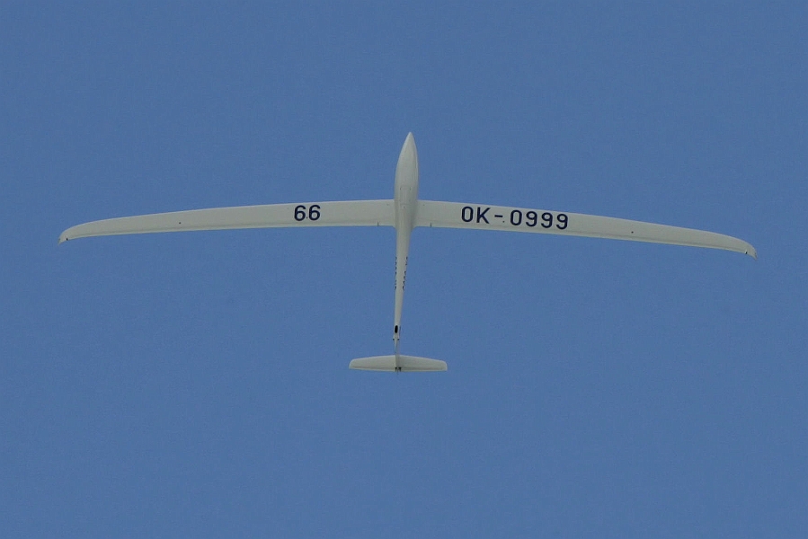 img 175.JPG